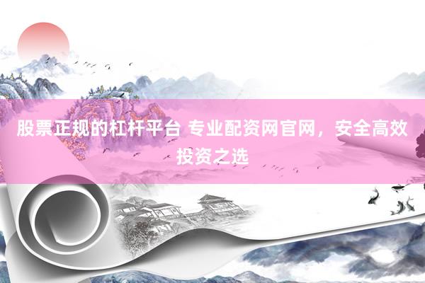 股票正规的杠杆平台 专业配资网官网，安全高效投资之选