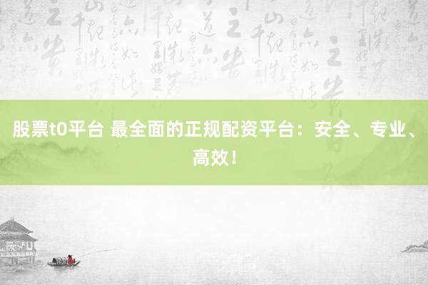 股票t0平台 最全面的正规配资平台：安全、专业、高效！