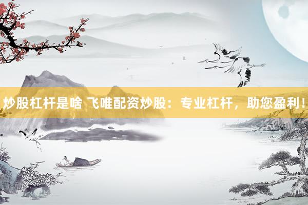 炒股杠杆是啥 飞唯配资炒股：专业杠杆，助您盈利！