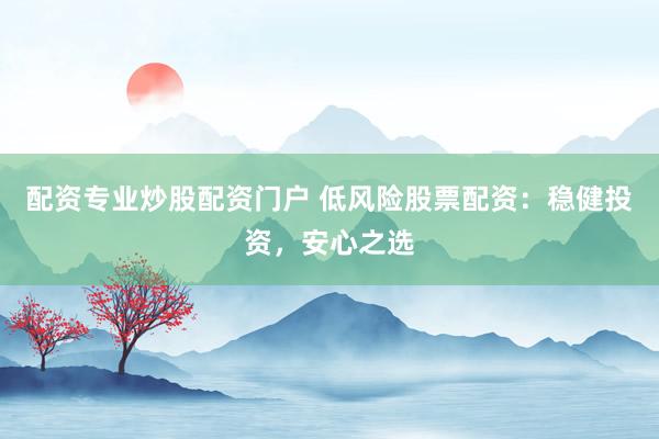 配资专业炒股配资门户 低风险股票配资：稳健投资，安心之选