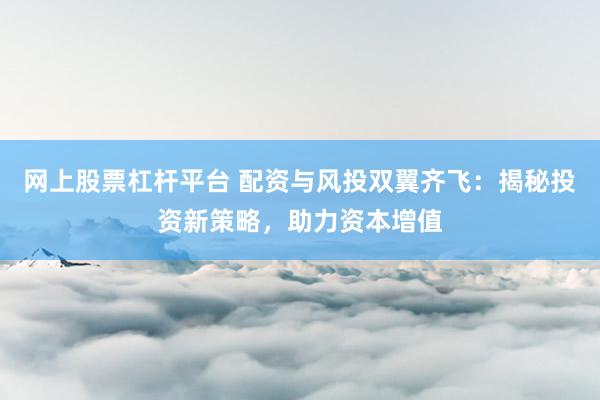 网上股票杠杆平台 配资与风投双翼齐飞：揭秘投资新策略，助力资本增值