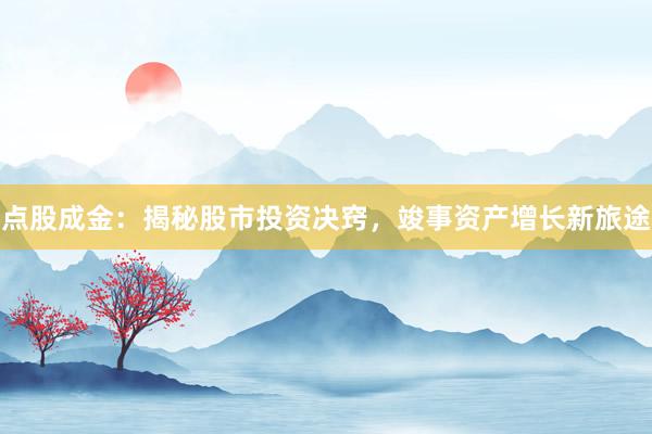 点股成金：揭秘股市投资决窍，竣事资产增长新旅途