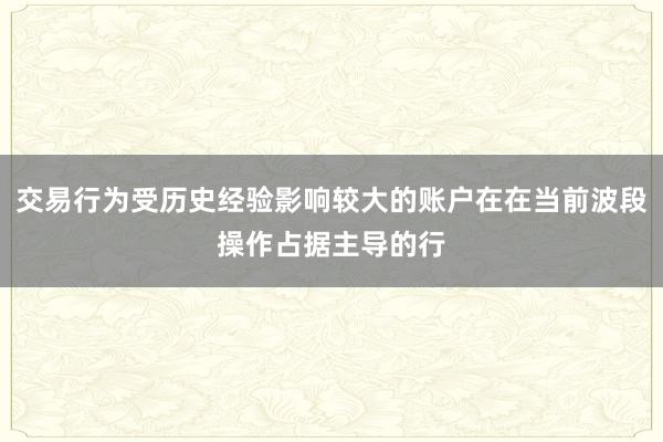 交易行为受历史经验影响较大的账户在在当前波段操作占据主导的行