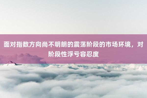 面对指数方向尚不明朗的震荡阶段的市场环境，对阶段性浮亏容忍度