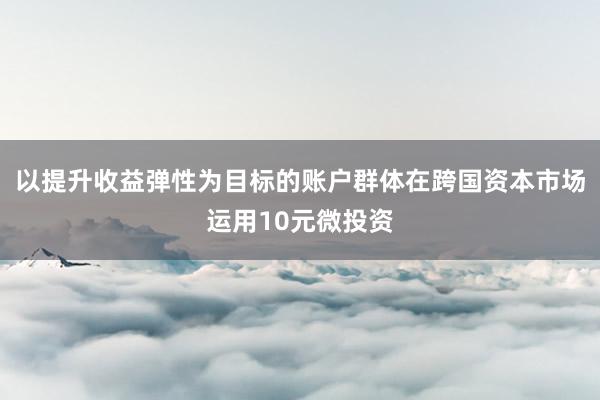 以提升收益弹性为目标的账户群体在跨国资本市场运用10元微投资