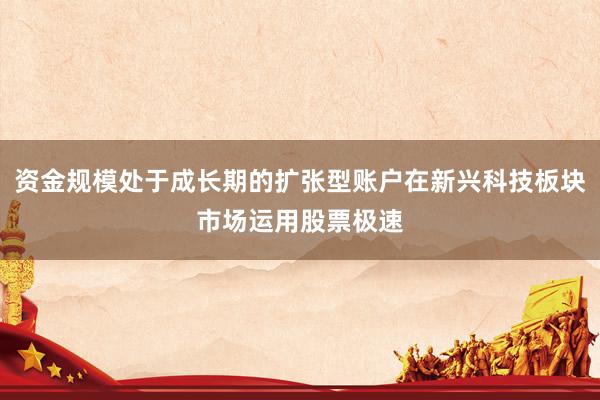 资金规模处于成长期的扩张型账户在新兴科技板块市场运用股票极速