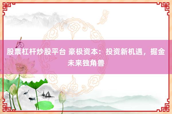股票杠杆炒股平台 豪极资本：投资新机遇，掘金未来独角兽