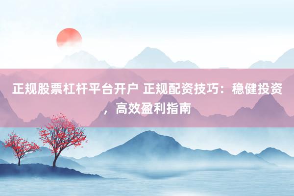 正规股票杠杆平台开户 正规配资技巧：稳健投资，高效盈利指南