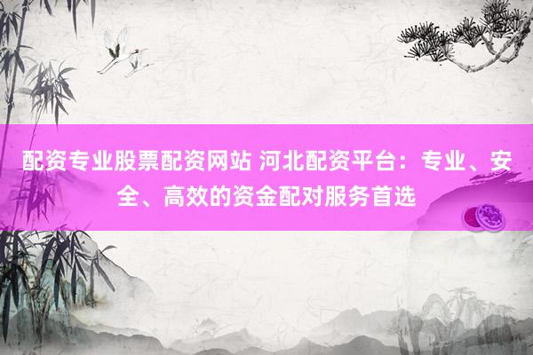配资专业股票配资网站 河北配资平台：专业、安全、高效的资金配对服务首选